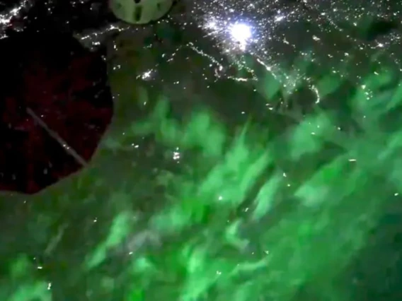 Aurora view captured from the International Space Station by NASA astronaut and chemical engineering alum Donald Pettit.