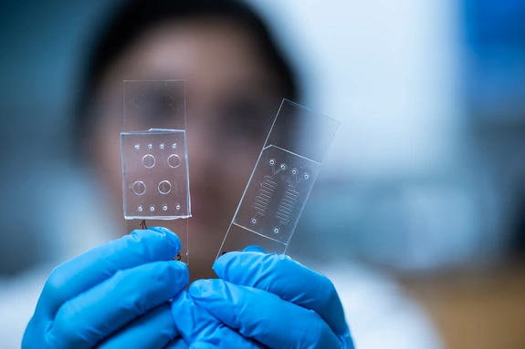 Materials & Semiconductors