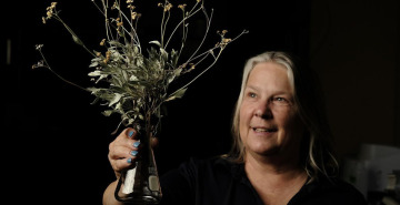 Kim Ogden is leading a project to turn a hardy desert shrub into an alternative source of natural rubber.