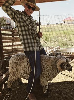 A man in a plaid shirt and cowboy hat stands over a ram, which is tied with the lasso he holds