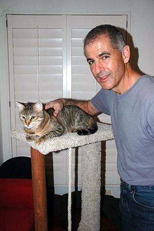 A man in a gray shirt stands next to a brown tabby perched on a cat tree