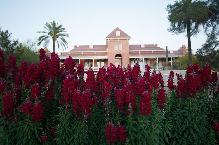 University of Arizona, Old Main Building with flowers