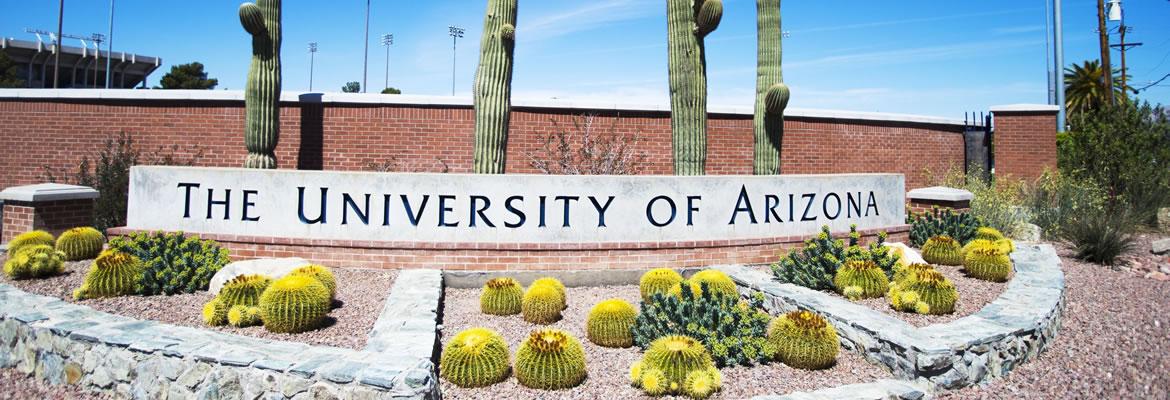 Faculty & Staff | Chemical and Environmental Engineering | The University  of Arizona